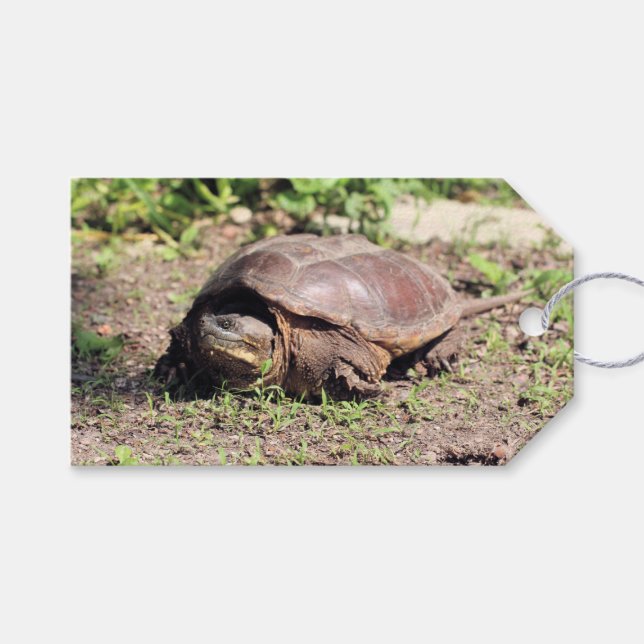 Etiquetas Para Regalos Gran chico (Frente (Horizontal))