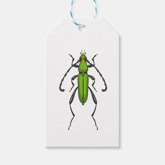 Etiquetas Para Regalos Green beetle (Anverso)