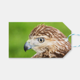 Etiquetas Para Regalos Halcón atado rojo juvenil