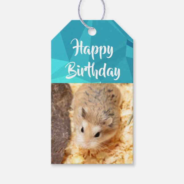 Etiquetas Para Regalos Hammyville - Cute Hamster (Anverso)