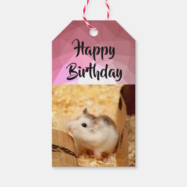 Etiquetas Para Regalos Hammyville - Cute Hamster (Anverso)