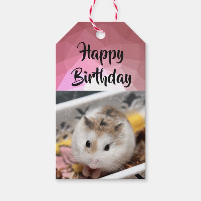 Etiquetas Para Regalos Hammyville - Cute Hamster (Anverso)