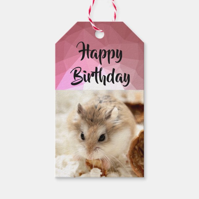 Etiquetas Para Regalos Hammyville - Cute Hamster (Anverso)