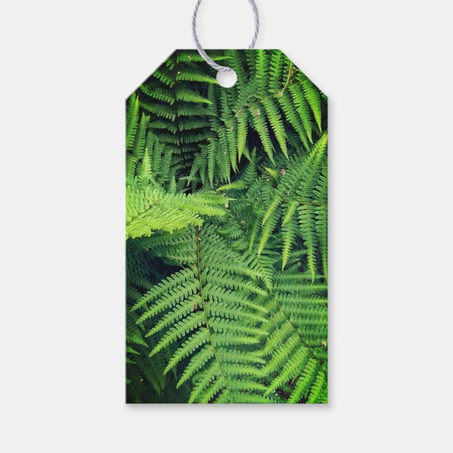 Etiquetas Para Regalos helecho verde (Anverso)