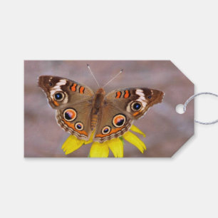 Etiquetas Para Regalos Hermosa mariposa sobre la flor amarilla