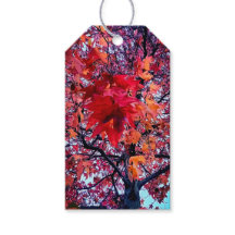 Hojas de otoño brillantes