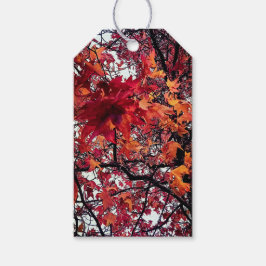 Etiquetas Para Regalos Hojas rojas y naranjas