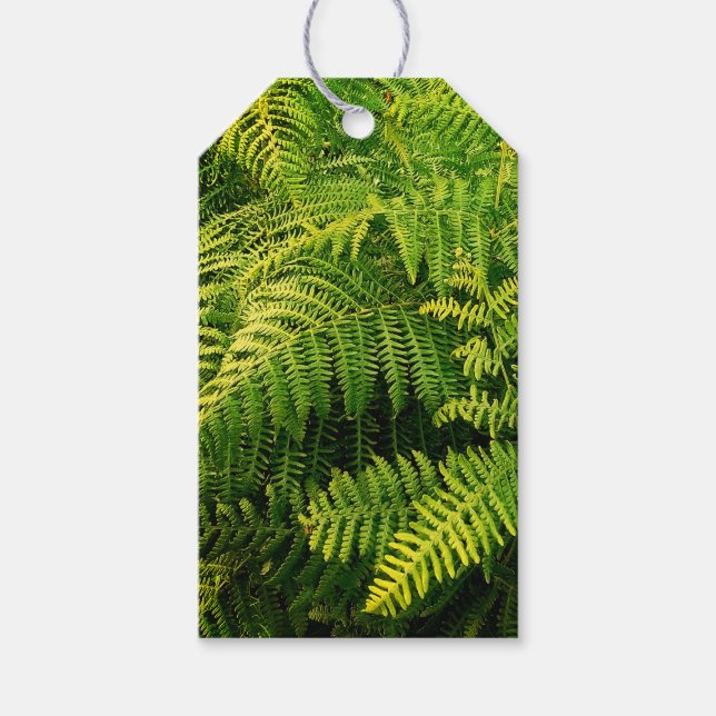 Etiquetas Para Regalos Hojas verdes (Anverso)