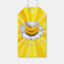 "Hola hermoso Humano!" Sonrisa de Manzanilla Sol