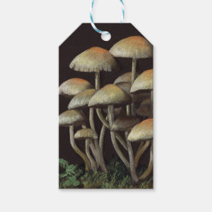 Etiquetas Para Regalos Hongos