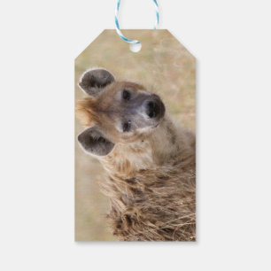 Etiquetas Para Regalos Hyena