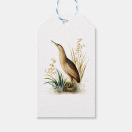 Etiquetas Para Regalos Ilustracion vintage de un Bittern euroasiático