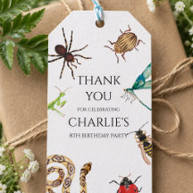 Invitación de insectos, Cumpleaños al aire libre,
