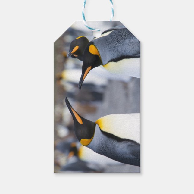Etiquetas Para Regalos King Penguins (Anverso)