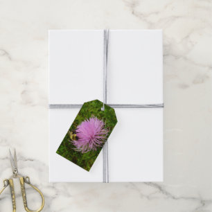 Etiquetas Para Regalos La naturaleza de la flor del cardo