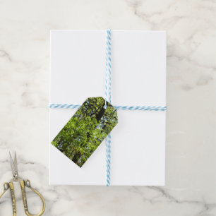Etiquetas Para Regalos La naturaleza de las hojas de arce de primavera