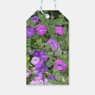 Etiquetas Para Regalos La primavera florece la foto floral de la petunia