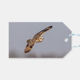 Etiquetas Para Regalos Lechuza de corta duración en las praderas de Shawa