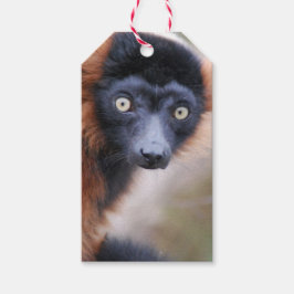 Etiquetas Para Regalos Lemur Rojo Ruffed