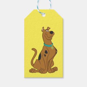 Etiquetas Para Regalos Lindo más lindo de Scooby-Doo un que