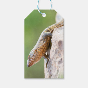 Etiquetas Para Regalos Lizard colocado