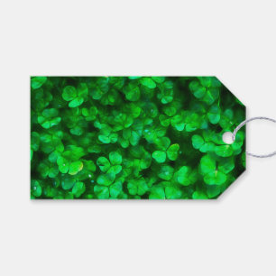 Etiquetas Para Regalos Lucky Celtic Green Shamrock
