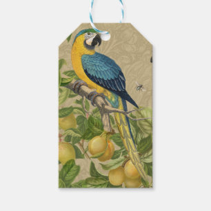 Etiquetas Para Regalos Macaw Blue Yellow Tropical Jungle Antigüedad