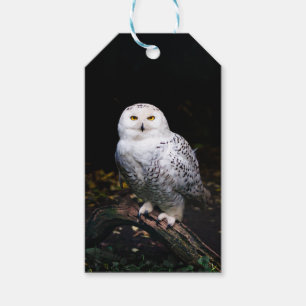 Etiquetas Para Regalos Majestuoso búho de invierno