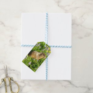 Etiquetas Para Regalos Marmot en Mont Rainier Wildflowers