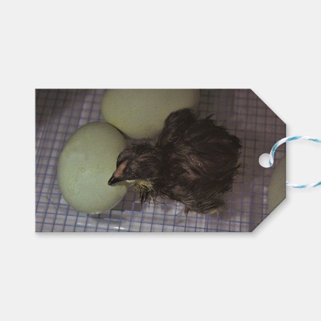 Etiquetas Para Regalos Minutos viejos (Frente (Horizontal))