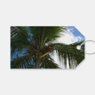 Etiquetas Para Regalos Mirando hacia la naturaleza tropical de las palmer