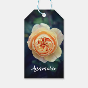 Etiquetas Para Regalos Naranja Peachy Rosa Flor Jardín Feliz Cumpleaños
