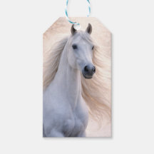 Navidad Hermoso Caballo y Nieve