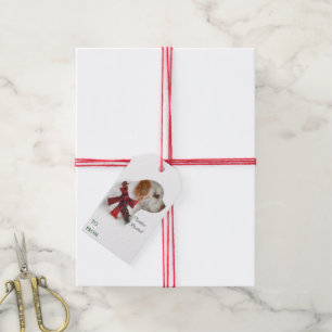 Etiquetas Para Regalos Navidades de Clumber Spaniel