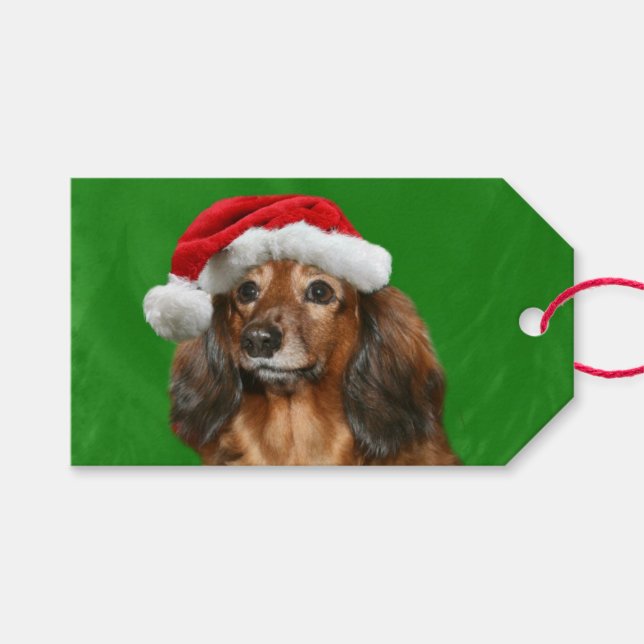 Etiquetas Para Regalos Navidades de Dachshund (Frente (Horizontal))