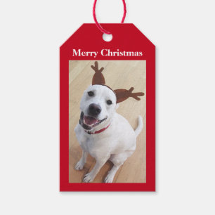 Etiquetas Para Regalos Navidades de Perro de Cachorro Blanco Ridículo y