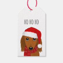 Navidades de perros de pelo largo de Dachshund San