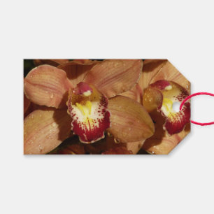 Etiquetas Para Regalos Orquídeas con gotas de lluvia floral