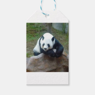 Etiquetas Para Regalos Oso de panda chino