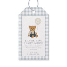 Oso de peluche de gingham azul claro para baby sho