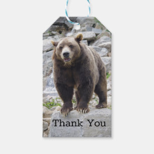 Etiquetas Para Regalos Oso Kodiak