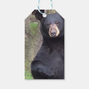 Etiquetas Para Regalos Oso negro