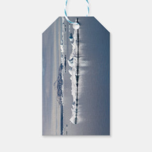 Etiquetas Para Regalos Paisaje antártico