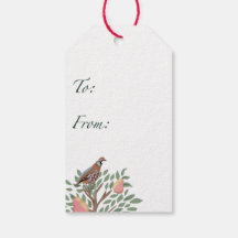 Partridge in a pear tree Christmas Carole on green