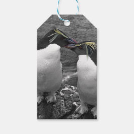 Etiquetas Para Regalos Penguin Colour Splash