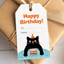 Pequeño gato de cumpleaños con torta rosa y globos