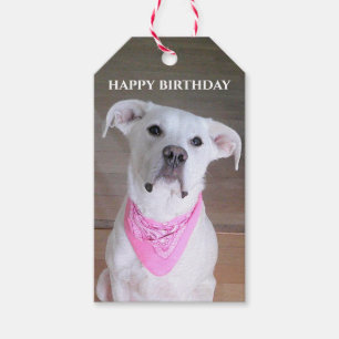 Etiquetas Para Regalos Perro blanco feliz lindo con ojos conmovedores cua