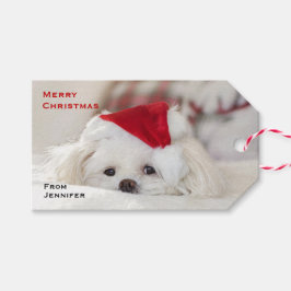 Etiquetas Para Regalos Perro blanco lindo en un Gorra de Navidades rojos
