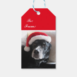 Etiquetas Para Regalos Perro mestizo de Labrador y Rottweiler con gorro d
