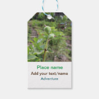 Plantas naturales fotografía nombre de viaje en ag